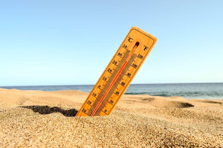 Colpo di calore e disidratazione